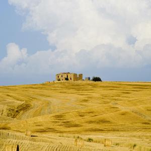 亚洲男女内射视频在线
