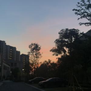 亚洲男女内射视频在线
